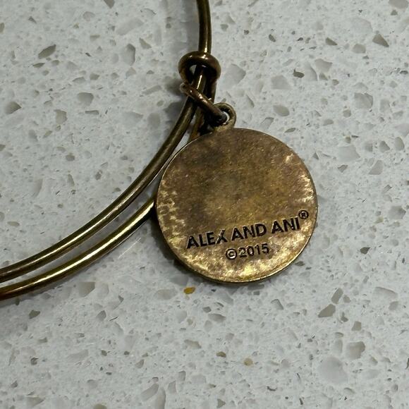 Delta Phi Epsilon Alex & Ani Bracelet - Picture 4 of 7